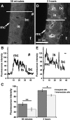 FIG. 6.
