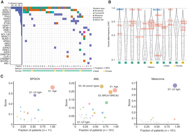 Figure 1. Recurrently mutated genes and UV light–induced global mutation signature in BPDCN. A, Comutation plot of SNVs and indels in BPDCN samples among genes recurrently mutated in other hematologic malignancies. Each column represents an individual patient; genes are in rows and mutation types are annotated by color. Percentages of patients with a given gene altered are plotted to the left. Samples are annotated by gender and sequencing method (WES). B, VAF of all somatic mutations (including synonymous) with VAF ≥0.1 detected by WES in 11 BPDCN plotted as gray dots. VAFs of known hematologic malignancy-related genes from A are annotated in red (autosomes) or blue (X chromosome). C, Global somatic mutational signatures in BPDCN, AML, and melanoma plotted as fraction of samples (x-axis) having a specific signature with the mean signature score in those patients (y-axis). The color of the circle represents a specific signature, and the size of the circle represents the strength of association as a combined measure of the fraction of patients having a signature and the contribution score.