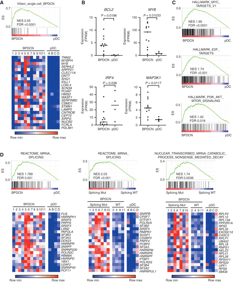 Figure 3. BPDCN transcriptomes have alterations in oncogene, dendritic cell development, and RNA processing genes. A, GSEA showing association of a previously defined gene signature from single-cell RNA-seq that differentiated BPDCN from normal human dendritic cell subtypes (14) in BPDCN (n = 11) compared with normal pDCs (n = 4) from the current cohort. Heat maps of the same genes plotted as low (blue) to high (red) relative expression. B, RNA expression of the indicated genes in BPDCN (n = 11) compared with normal pDCs (n = 4), with groups compared by t test. FPKM, fragments per kilobase of transcript per million mapped reads. C, GSEA comparing BPDCN with normal pDCs showing enrichment of the indicated hallmarks of cancer gene sets (MSigDB collection “H”) in BPDCN. D, GSEA as in A for the indicated RNA splicing and nonsense-mediated decay gene sets with heat maps of the top 20 leading-edge genes plotted as low (blue) to red (high) relative expression. In the indicated plots, BPDCN are separated by whether (Splicing Mut) or not (Splicing WT) they harbor a mutation in a splicing factor (SF3B1, SRSF2, U2AF1, or ZRSR2). ES, enrichment score; FDR, false discovery rate; NES, normalized enrichment score; WT, wild-type.