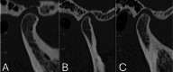 Fig. 9