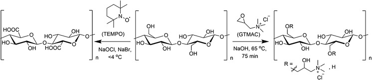 Scheme 1