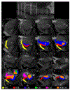 Figure 15: