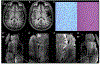 Figure 19: