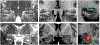 Figure 26:
