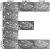 Figure 16:
