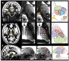 Figure 10: