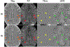 Figure 2: