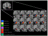 Figure 27: