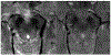 Figure 25: