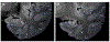 Figure 18: