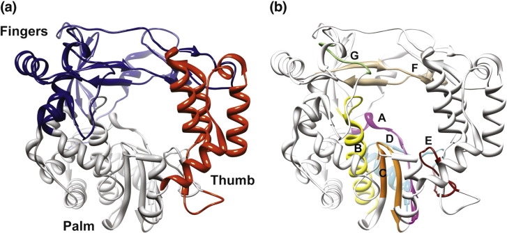 Fig. 1