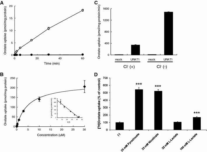 Fig. 1