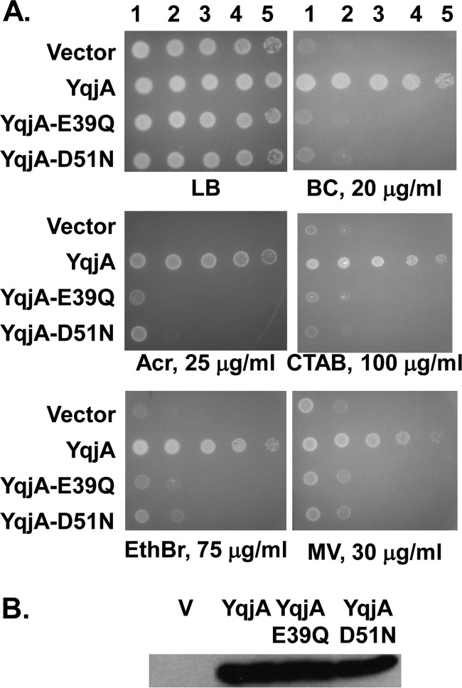 FIG 3