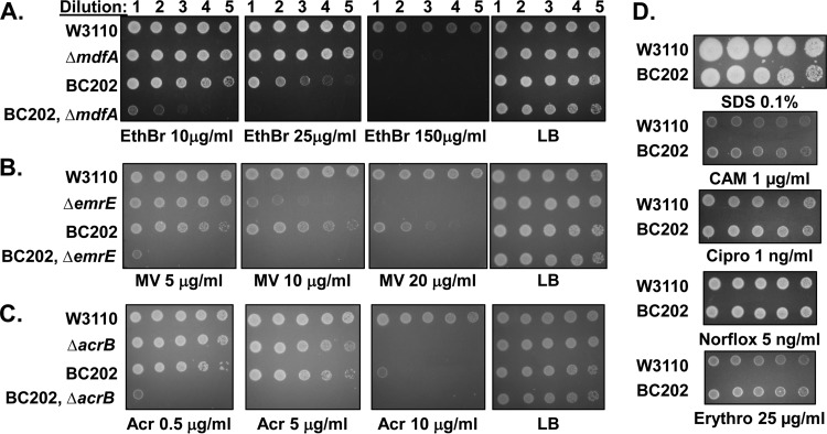 FIG 1