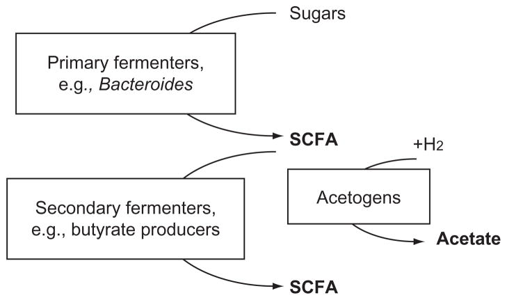 Figure 3.1