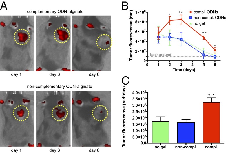 Fig. 4.