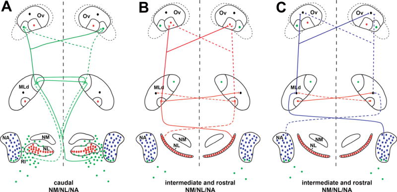 Figure 23