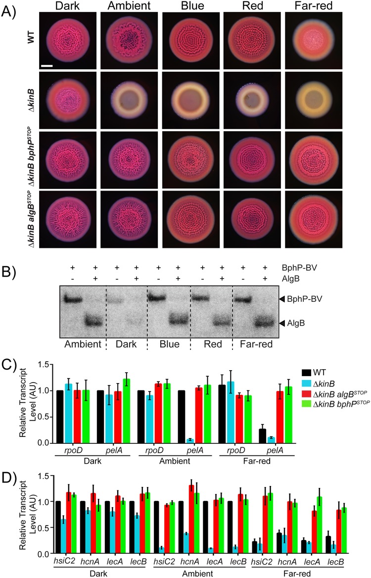 Fig 4