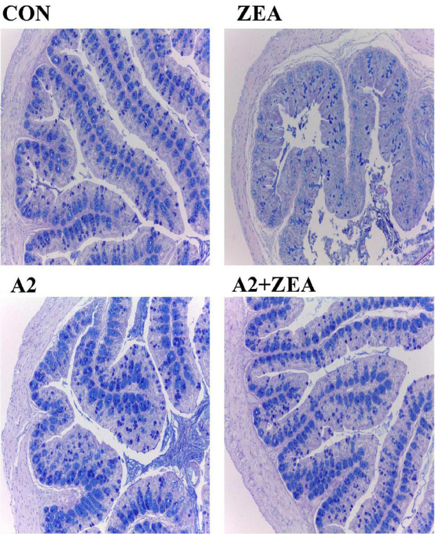 FIGURE 3