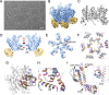 Figure 4 |