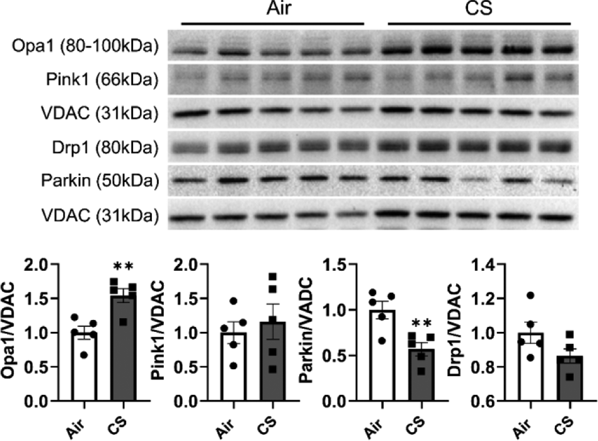 Figure 5.