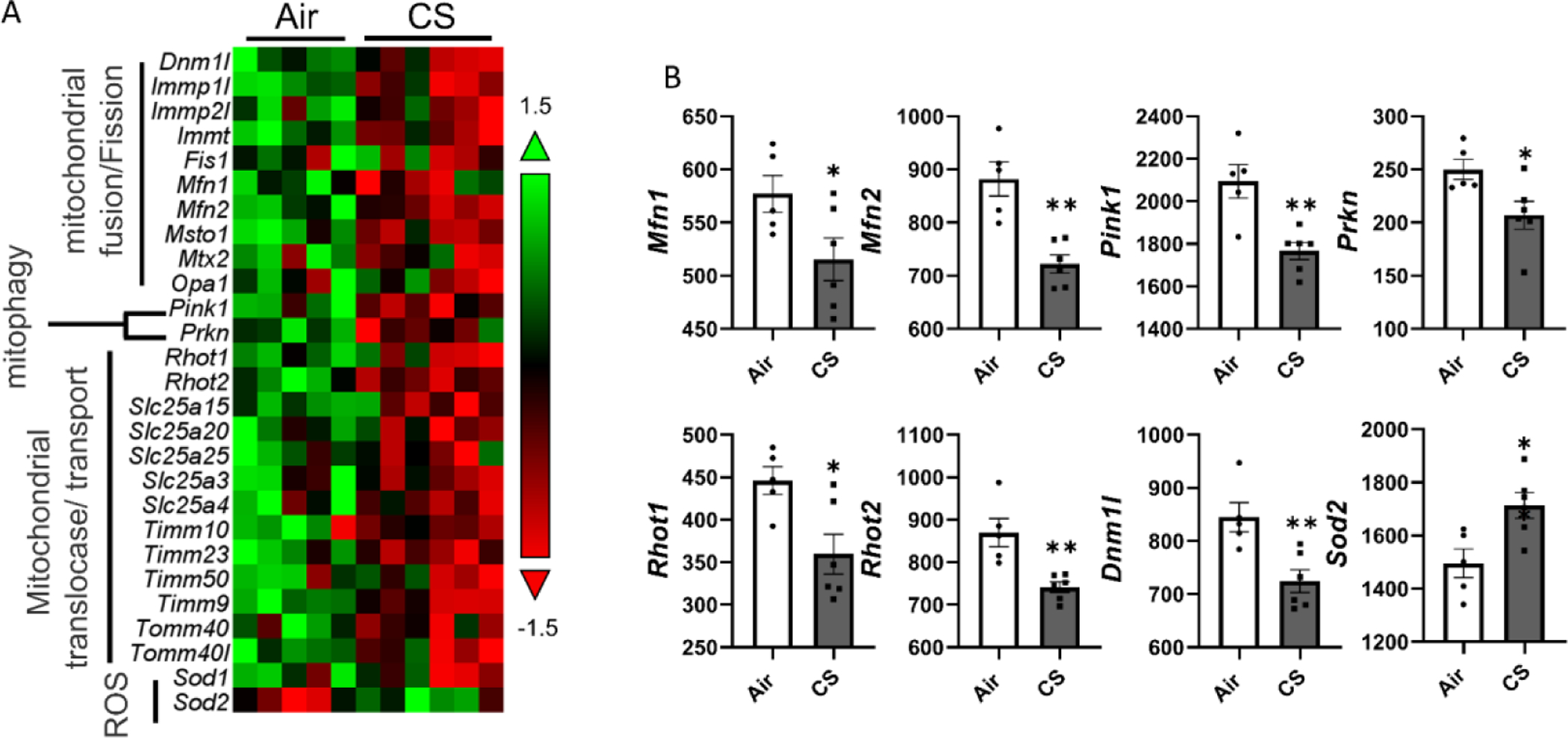 Figure 6.