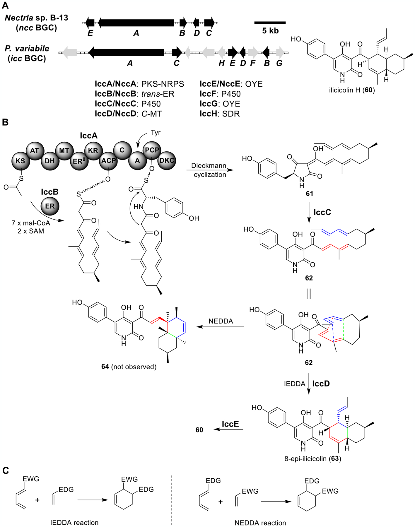 Figure 11.