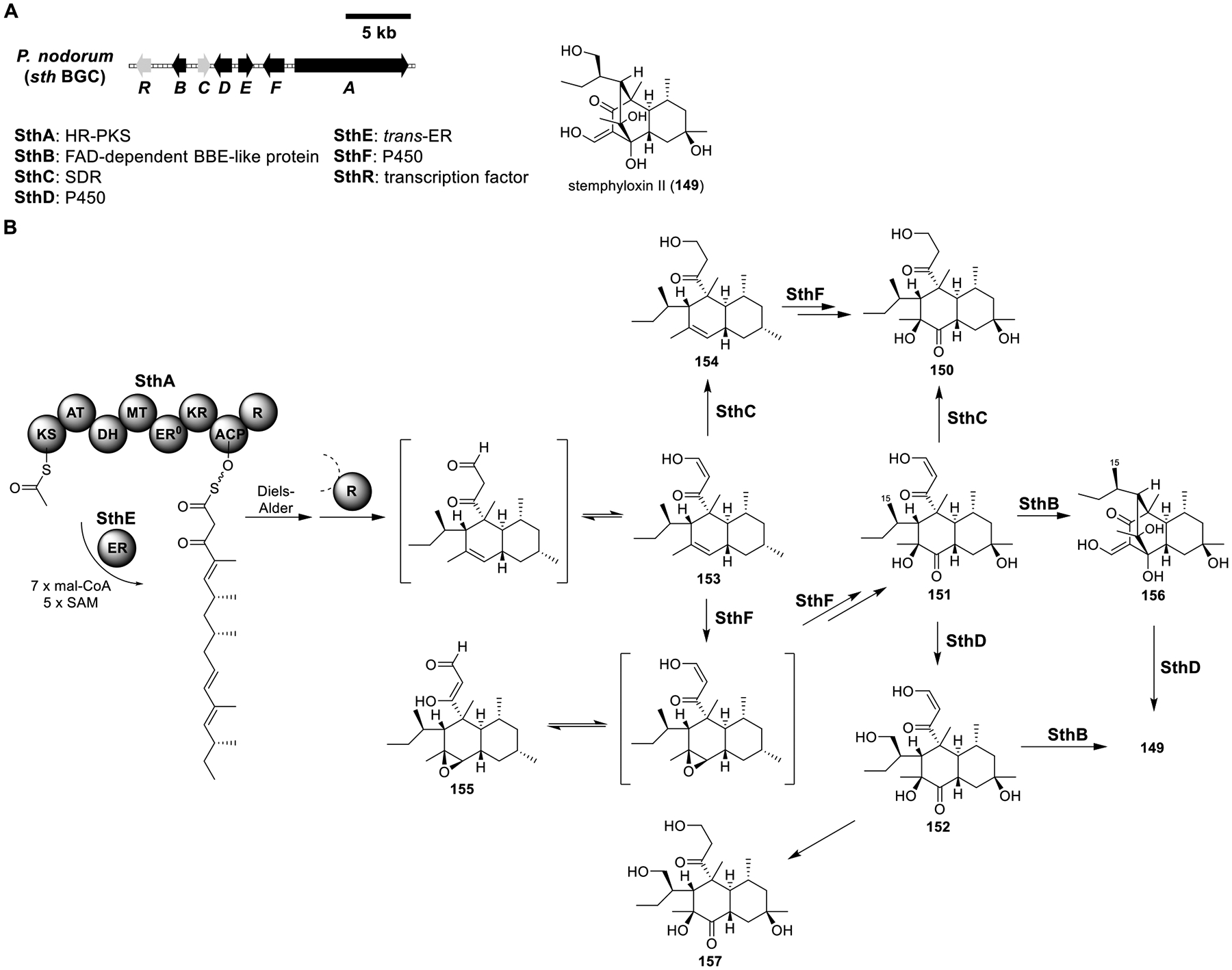 Figure 21.