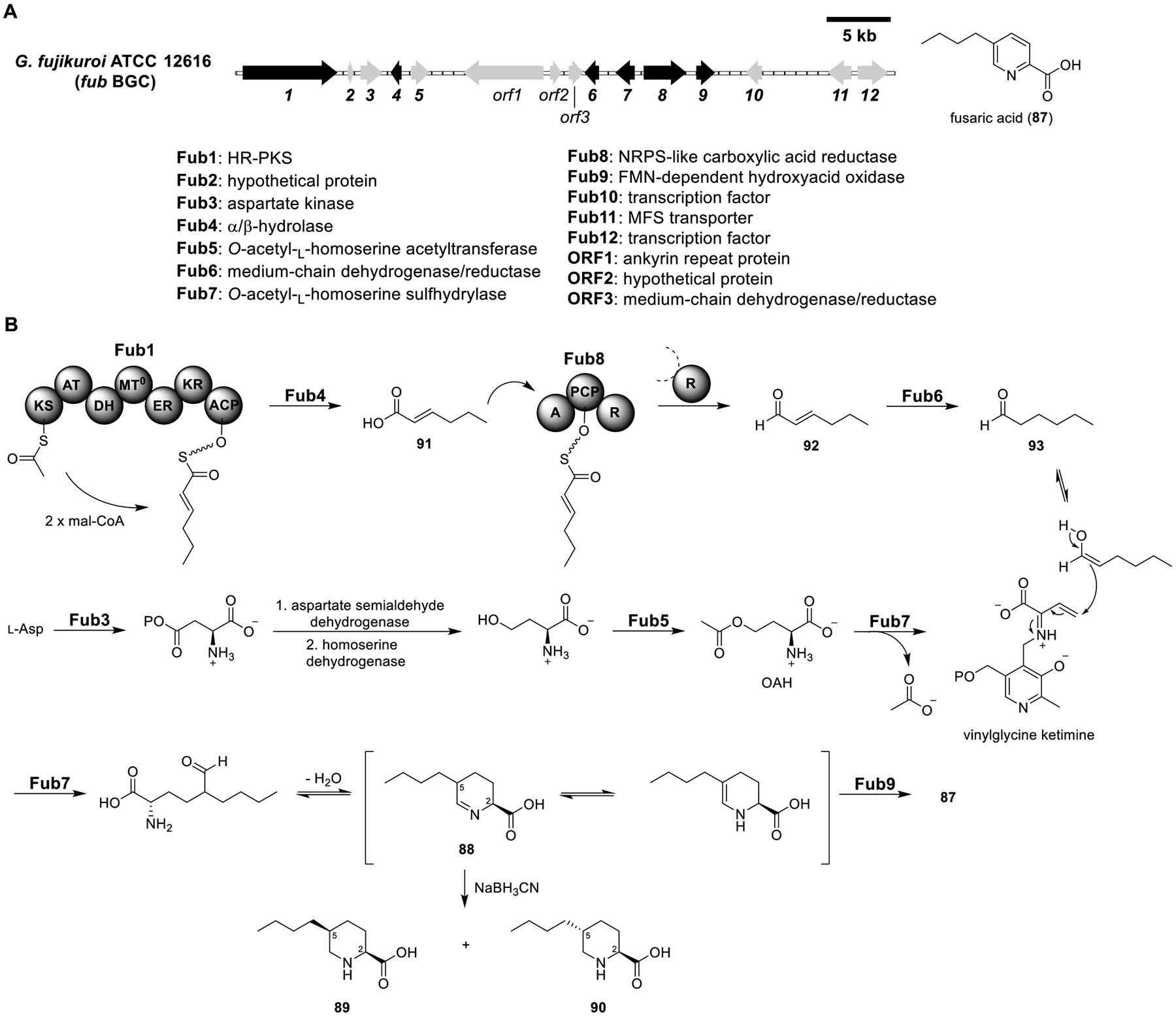 Figure 14.