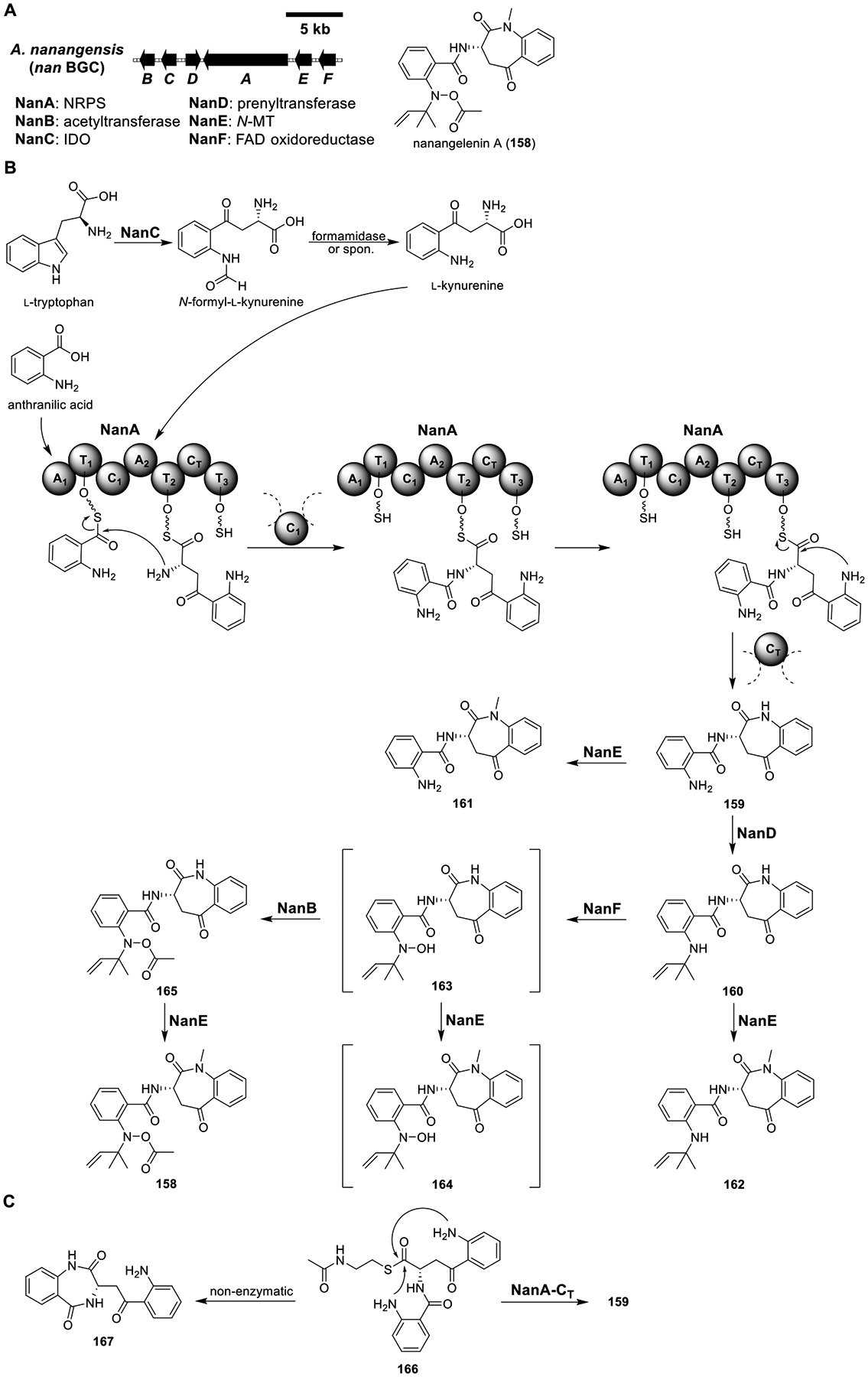 Figure 22.