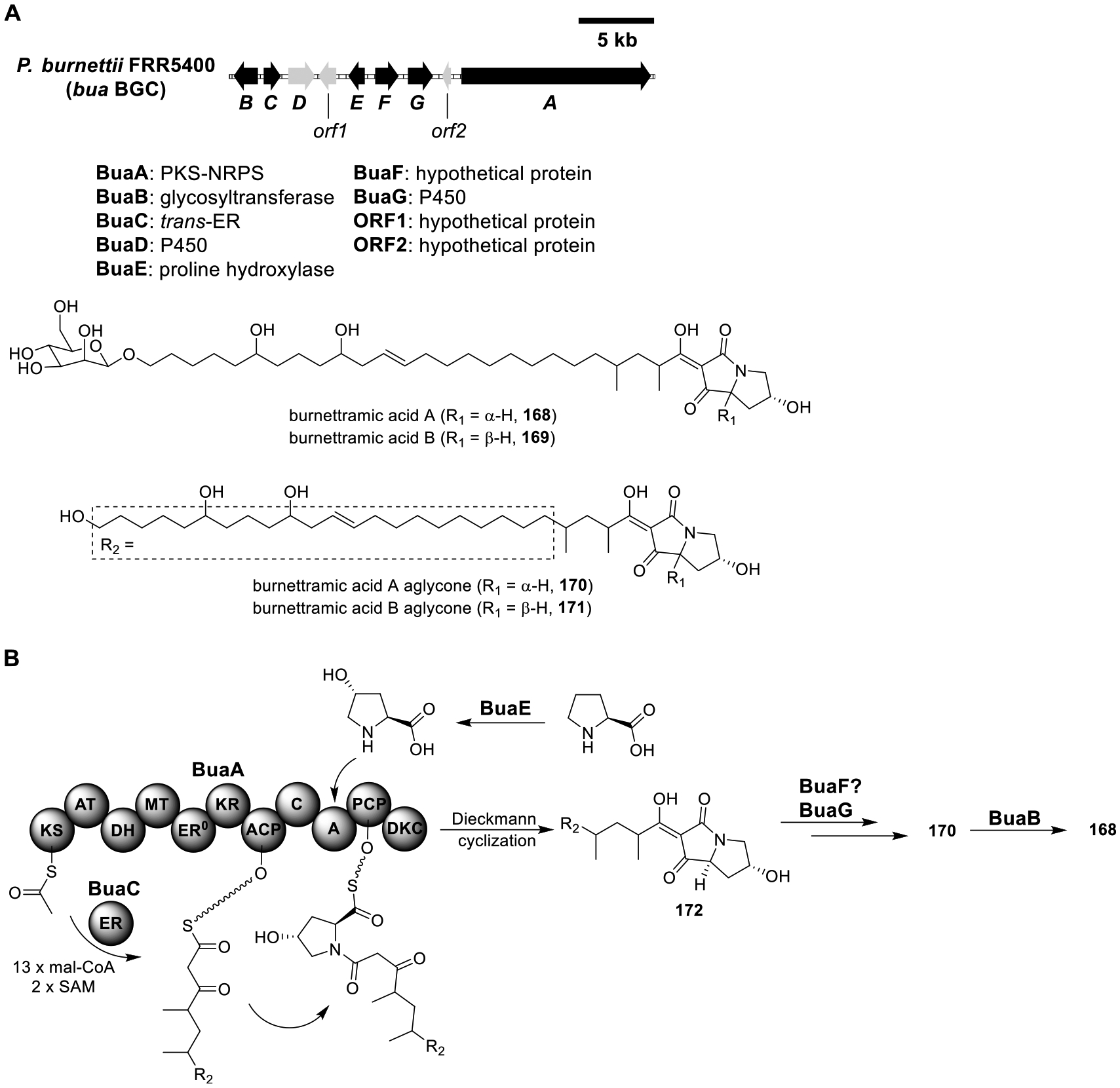 Figure 23.