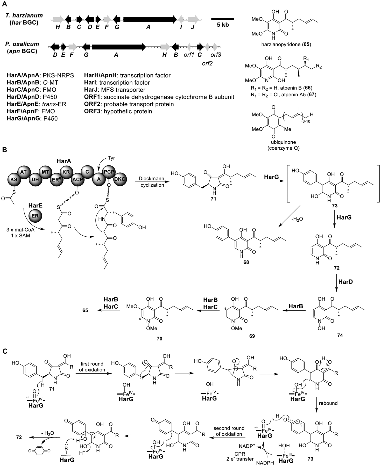 Figure 12.