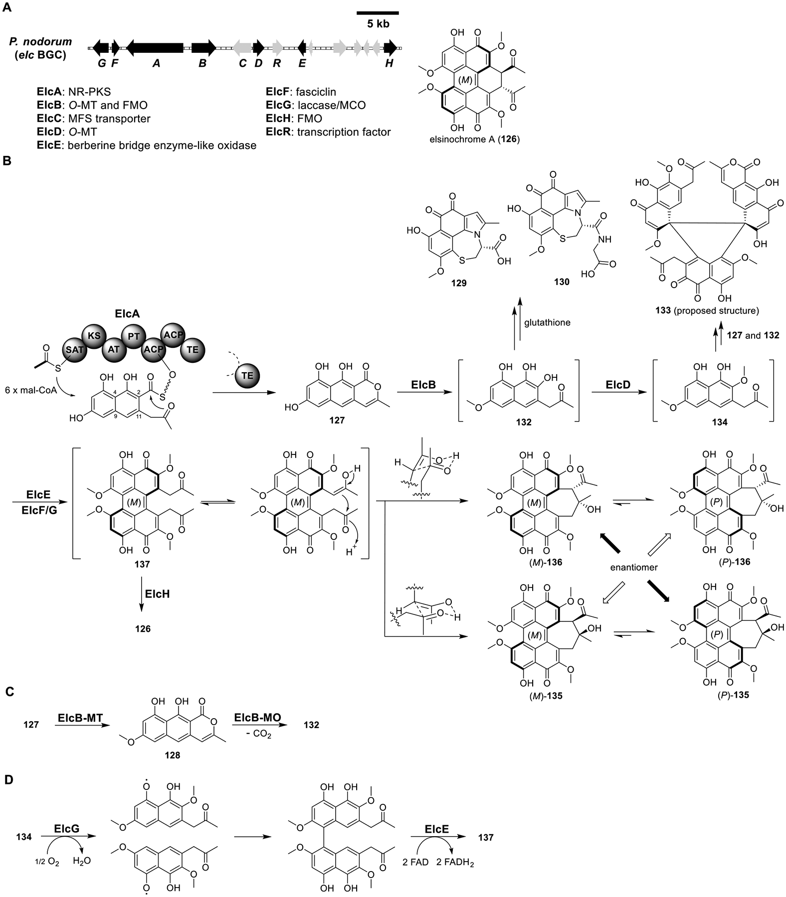 Figure 19.