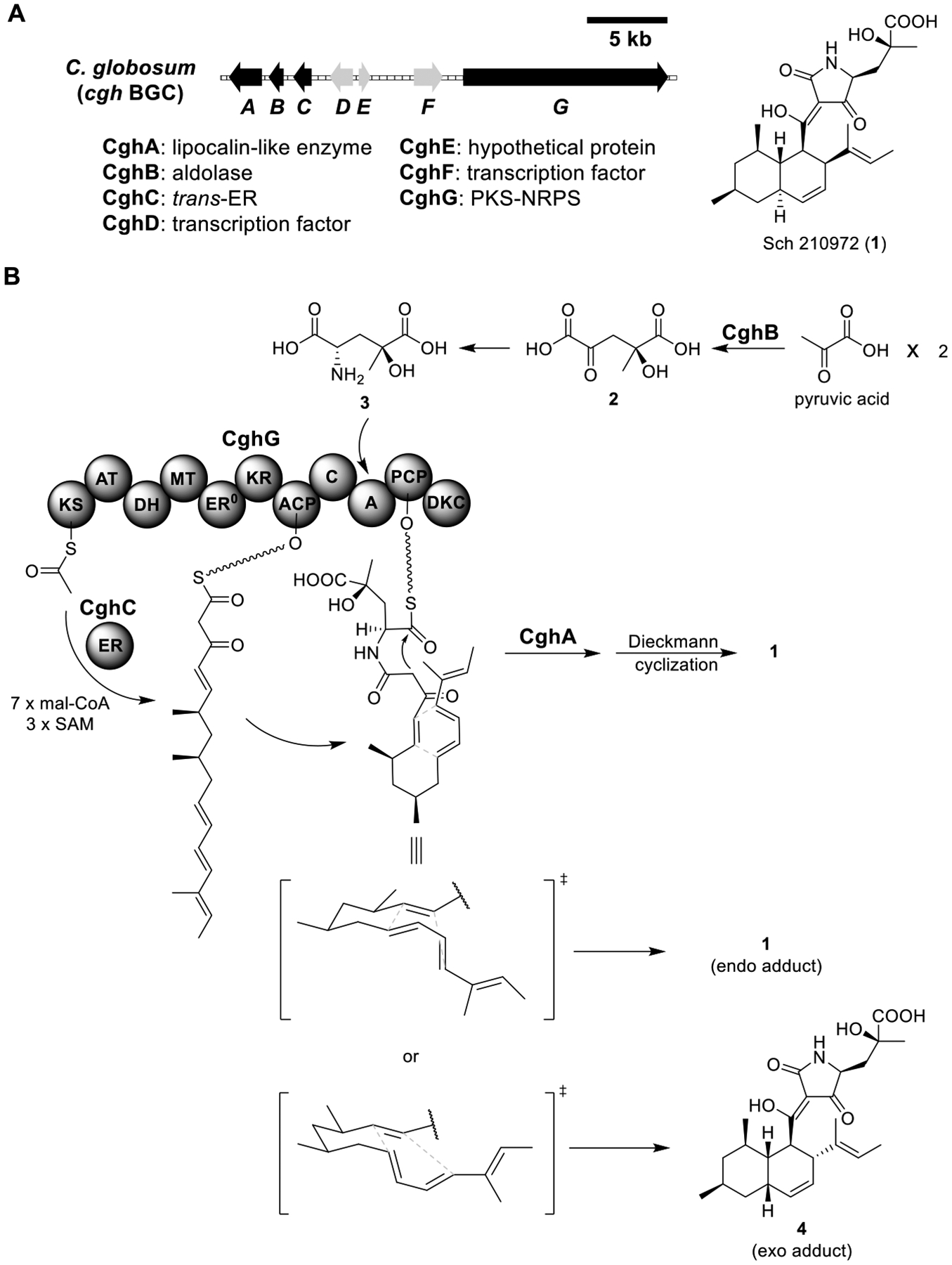 Figure 3.