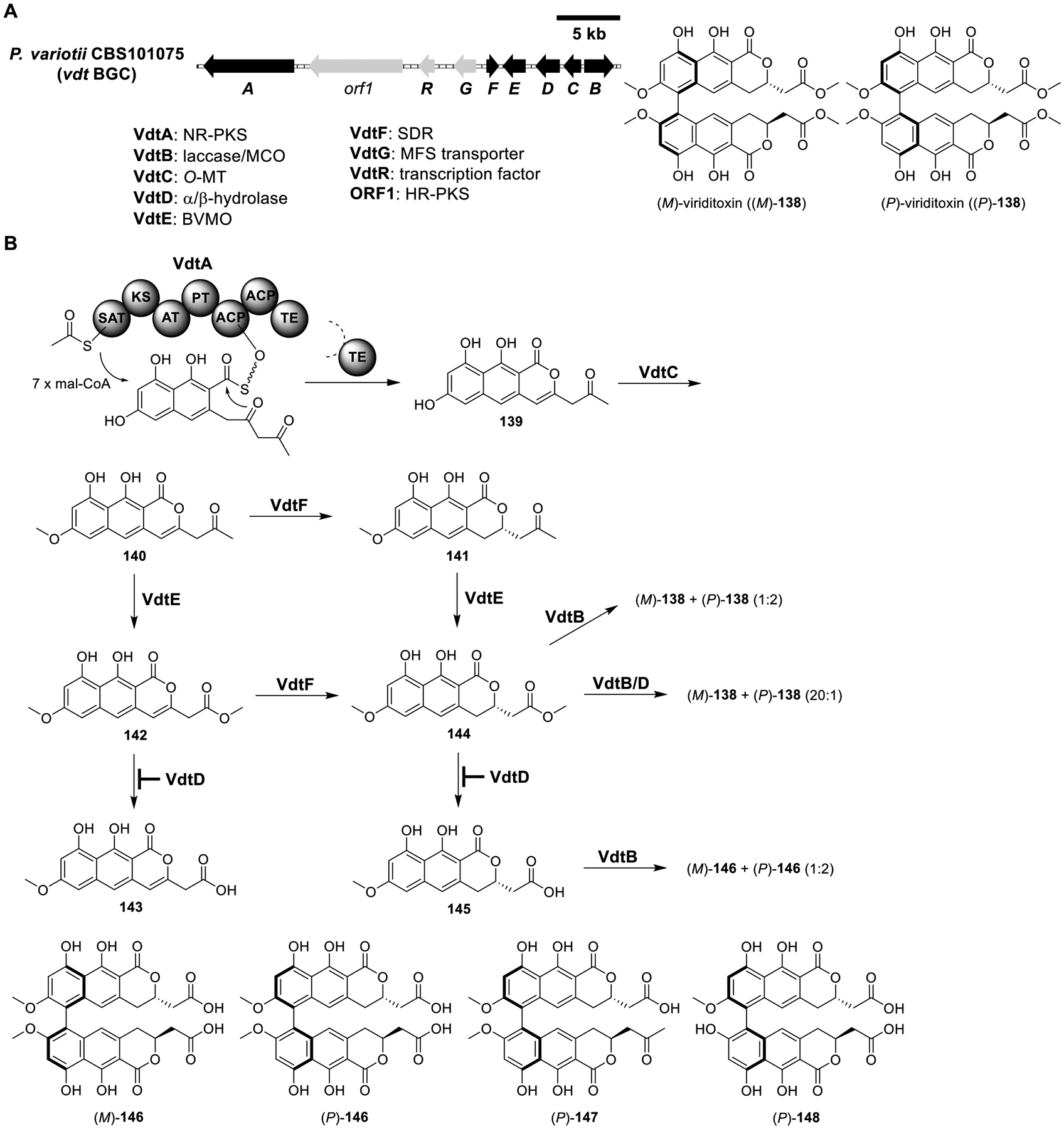 Figure 20.