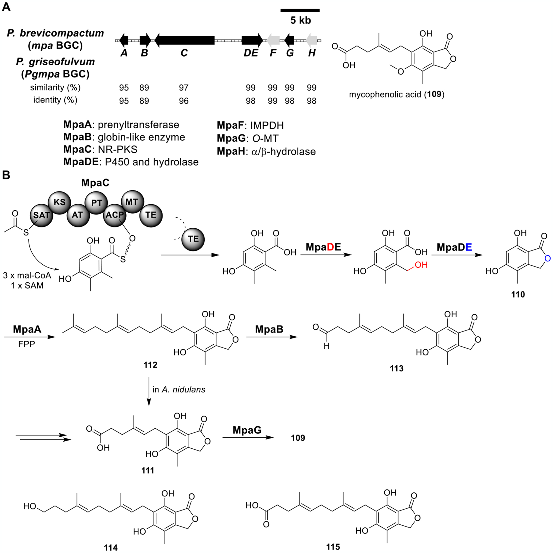 Figure 17.