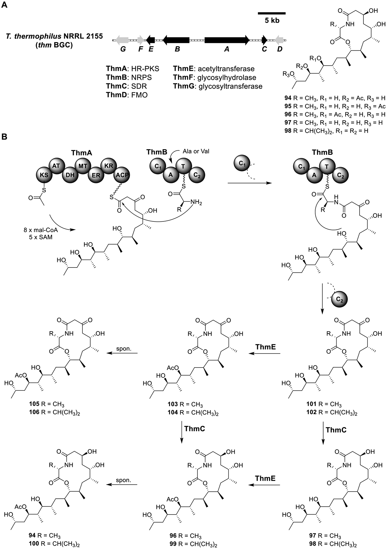 Figure 15.