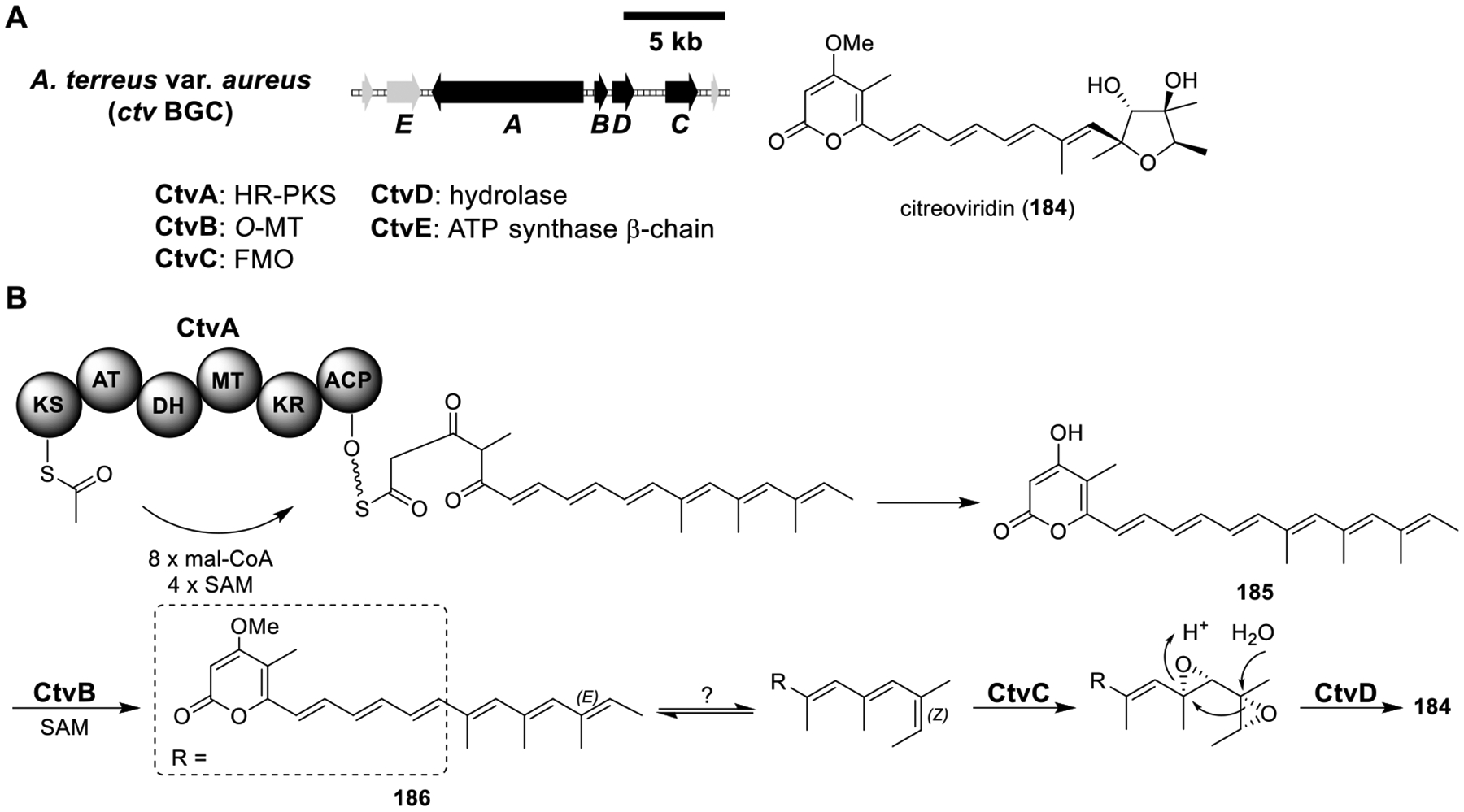 Figure 26.