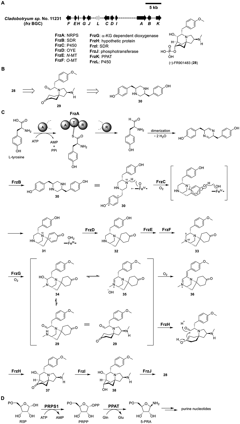 Figure 7.