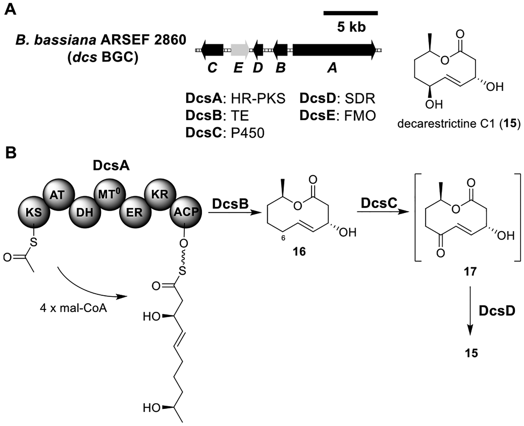 Figure 5.