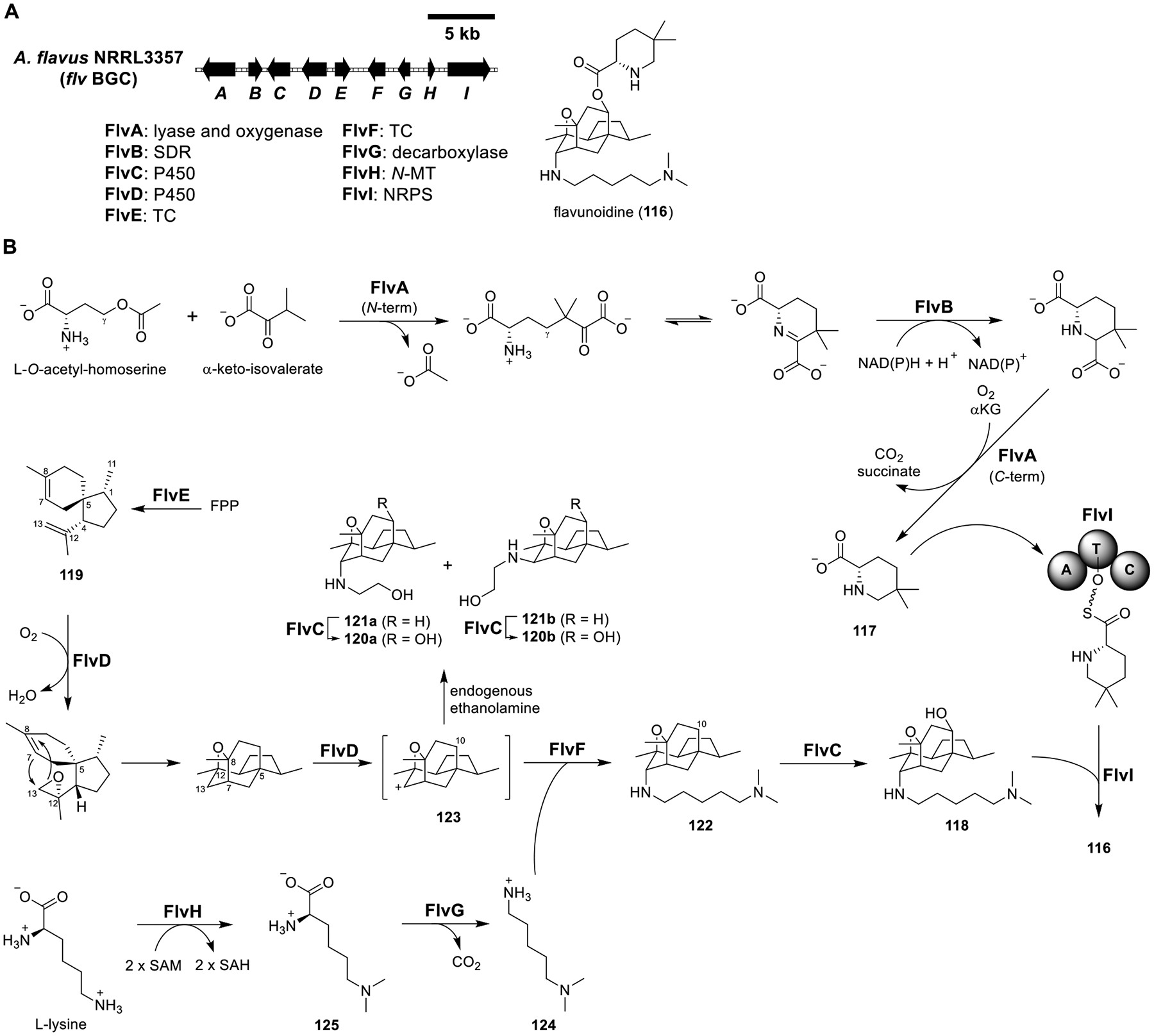 Figure 18.