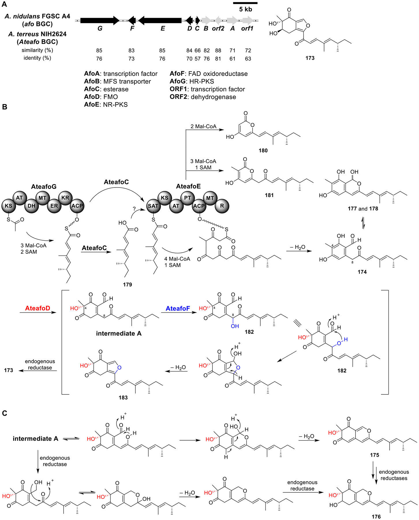 Figure 25.