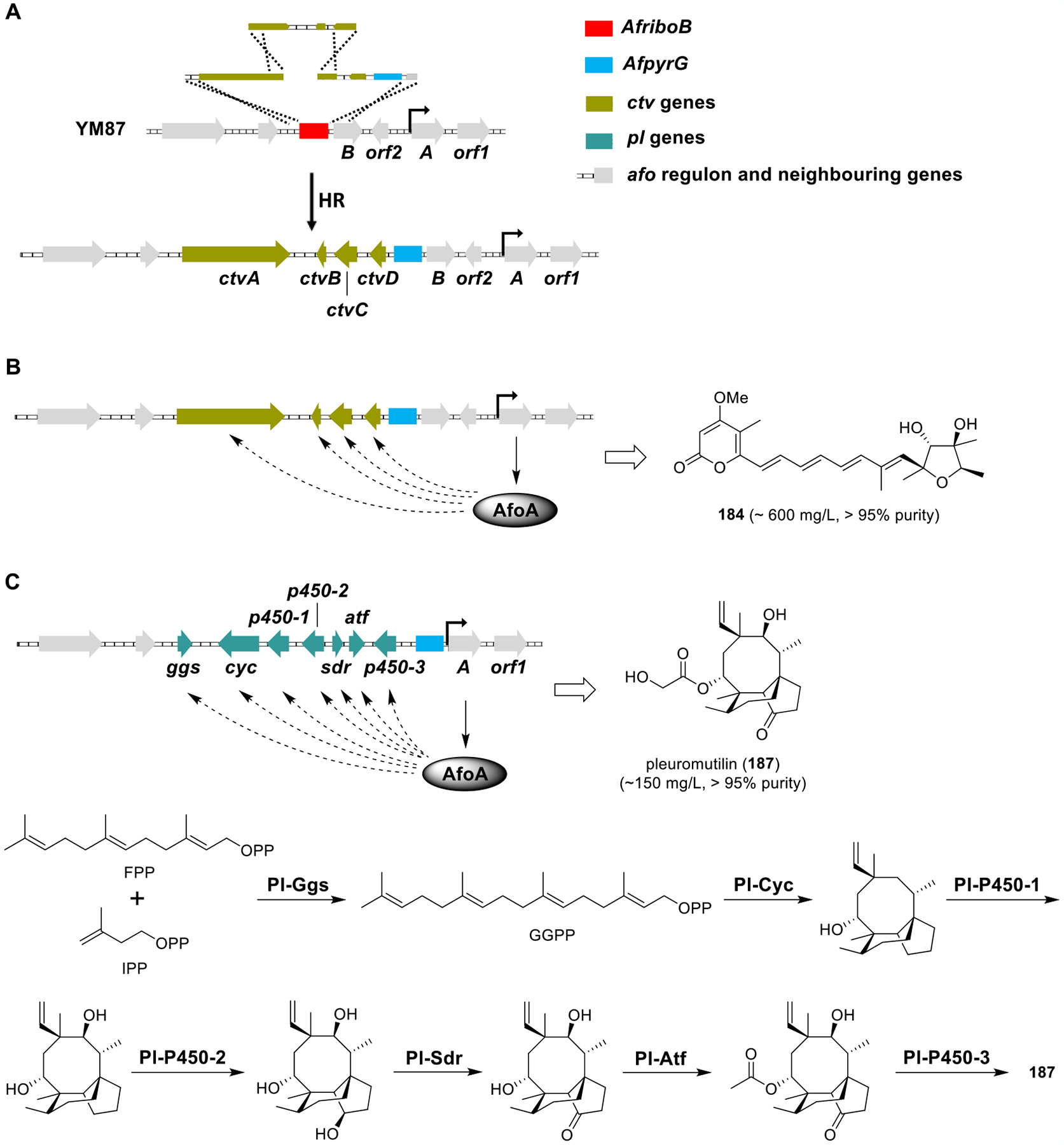 Figure 27.