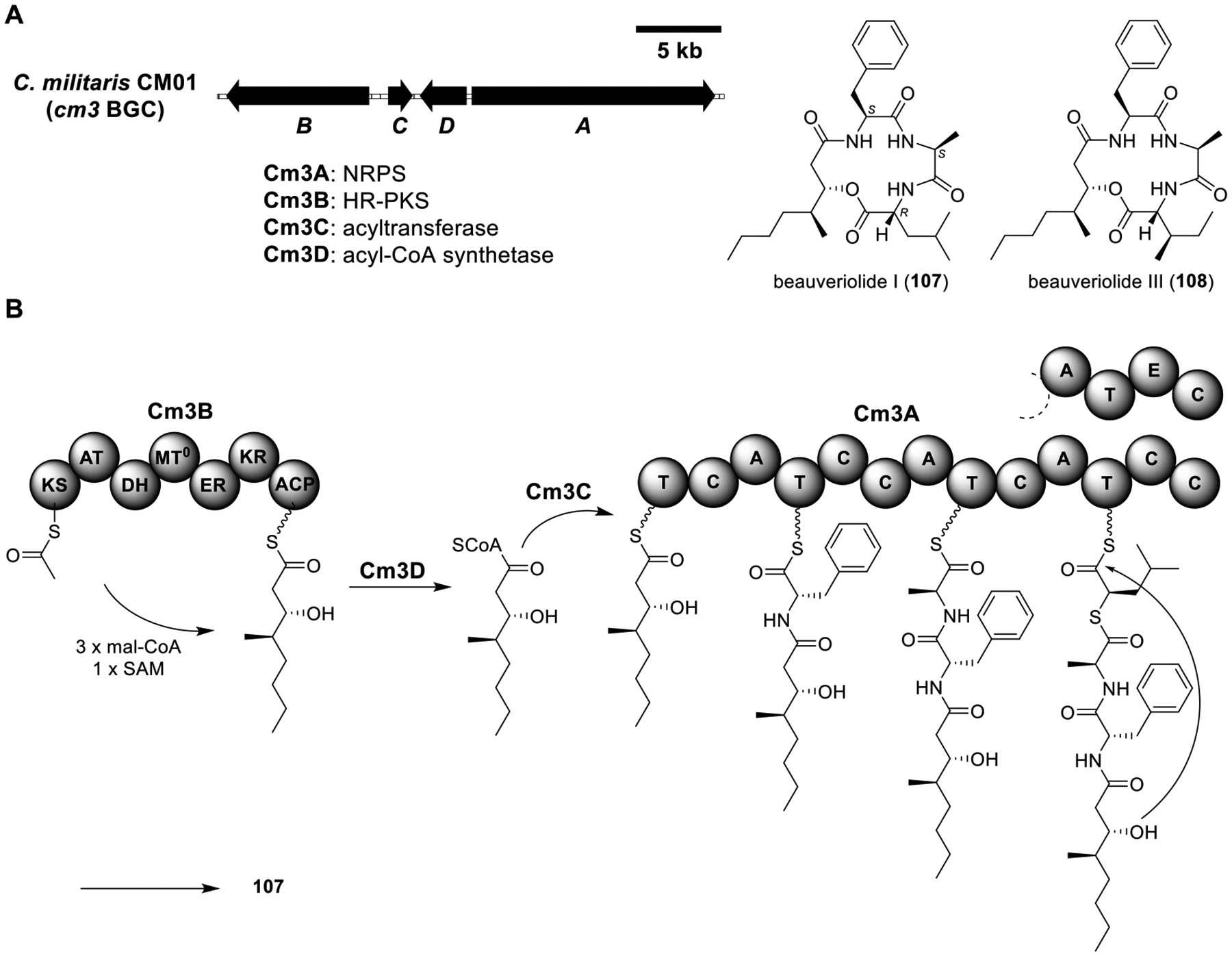 Figure 16.