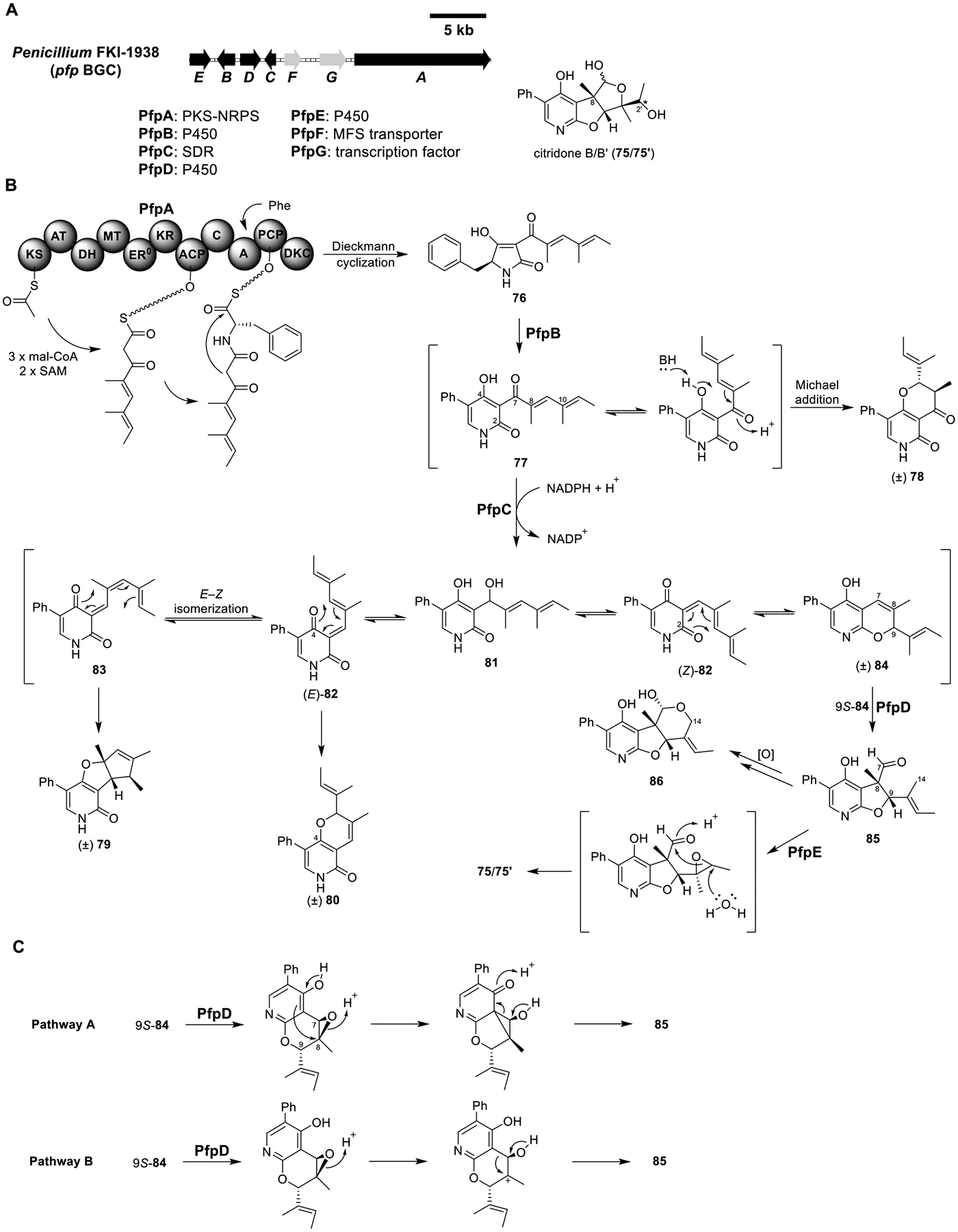 Figure 13.