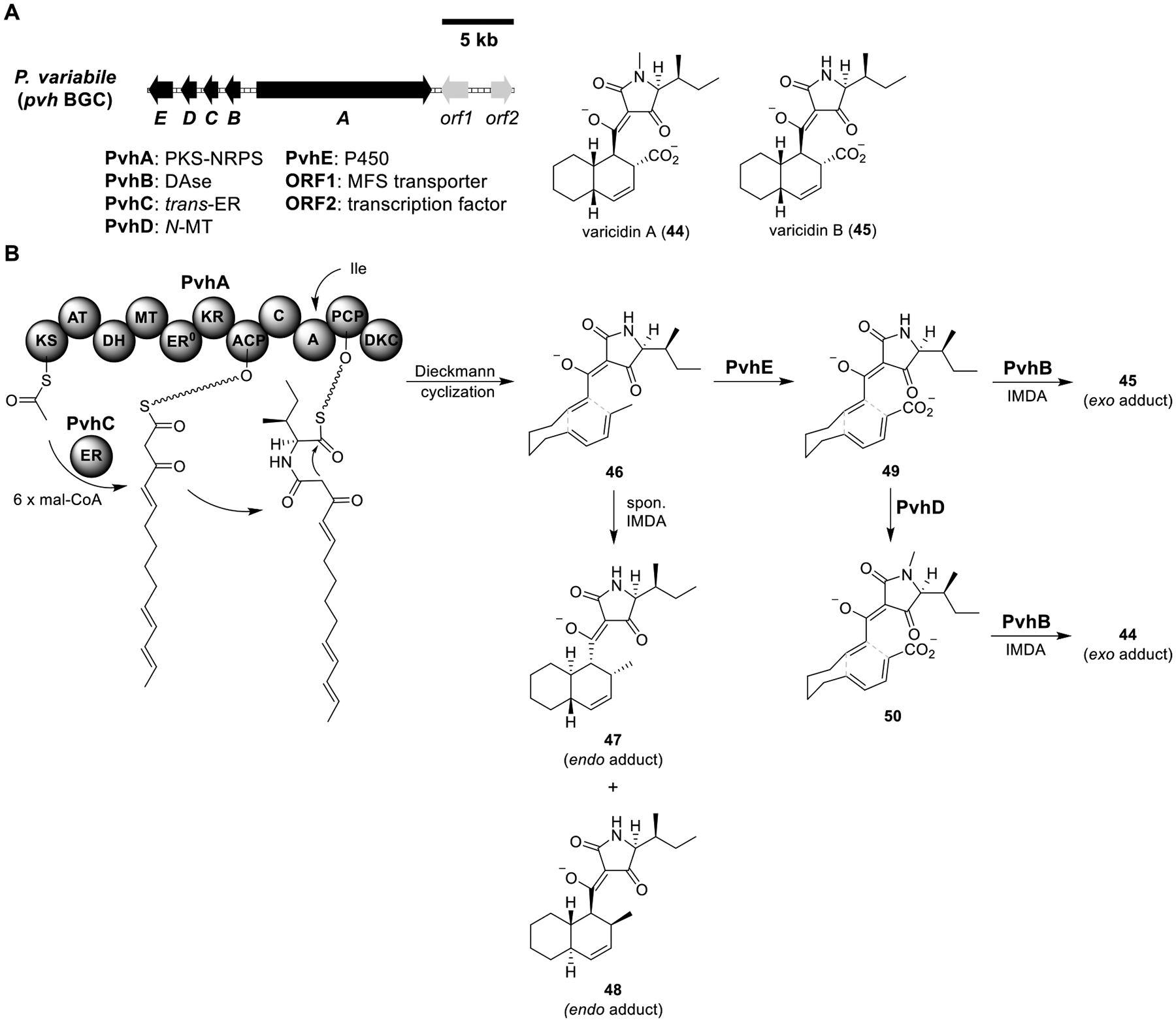 Figure 9.