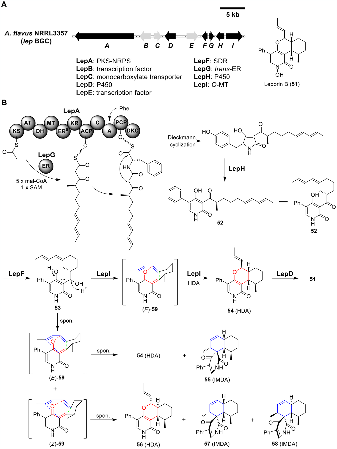 Figure 10.