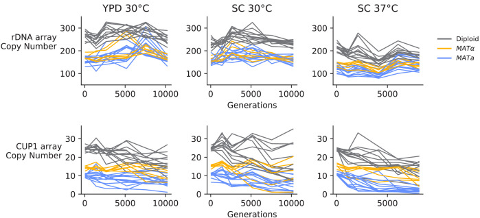 Figure 3—figure supplement 11.