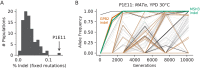 Figure 4—figure supplement 2.