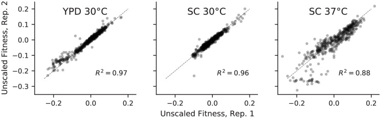 Figure 2—figure supplement 2.